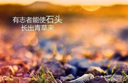 做微商賺不到錢？你是不是犯了這個錯誤(圖1)