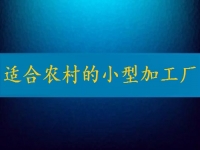 適合農(nóng)村的小型加工廠，月入2萬不算多，你有時間也能做