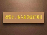 投資這么小，為什么收入?yún)s能這樣好？這個拿回家做的手工項目給出了答案