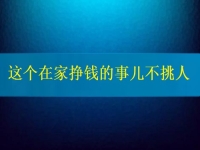 這個在家掙錢的事兒不挑人，2024要掙錢，你我就靠它了